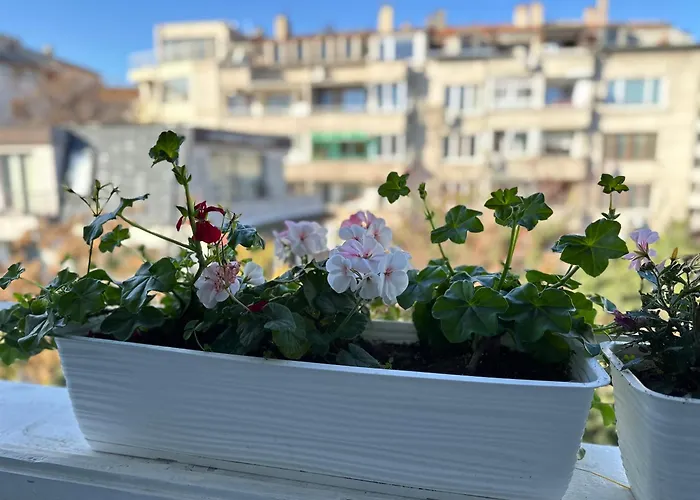 Something In French * Burgas City