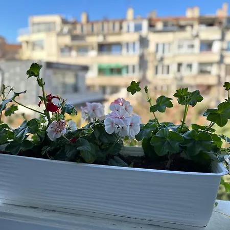 Something In French * Burgas